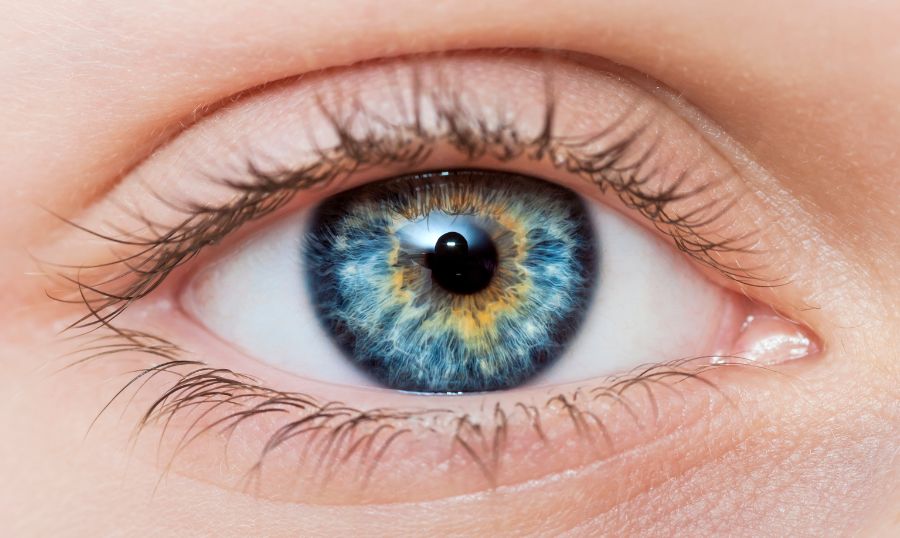 Eyes