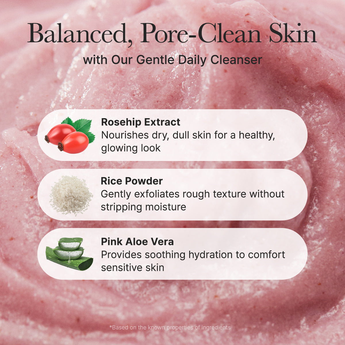 Arencia Fresh Rosehip Rice Mochi Cleanser 120 g Gentle Cleansing & Hydrating Care (K Beauty)