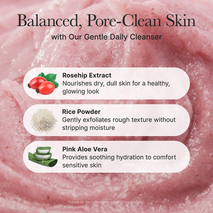 Arencia Fresh Rosehip Rice Mochi Cleanser 120 g Gentle Cleansing & Hydrating Care (K Beauty)
