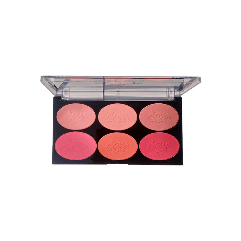Aqua Color Line 6 Color Blush Palette (Group:B)