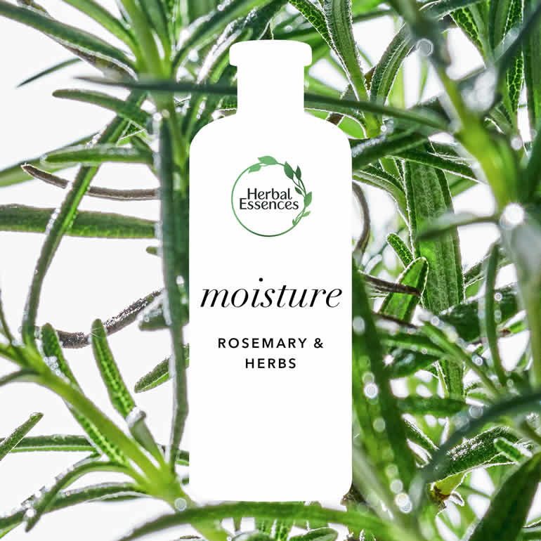 Herbal Essences Bio Renew Rosemary & Herbs Moisture Shampoo 400ml