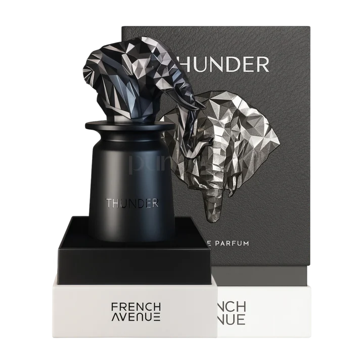 Thunder by French Avenue Eau de Parfum 100ml for Men & Women