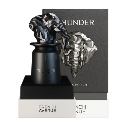 Thunder by French Avenue Eau de Parfum 100ml for Men & Women