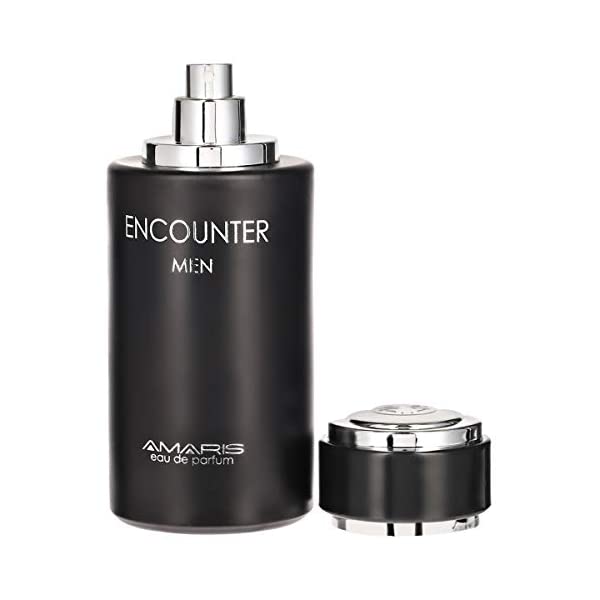 Aris Perfumes Encounter by Amaris perfume for Men 100 ml