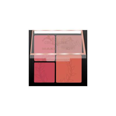 Aqua Color Line 4 Color Blusher Kit (Group:B)