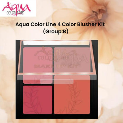 Aqua Color Line 4 Color Blusher Kit (Group:B)