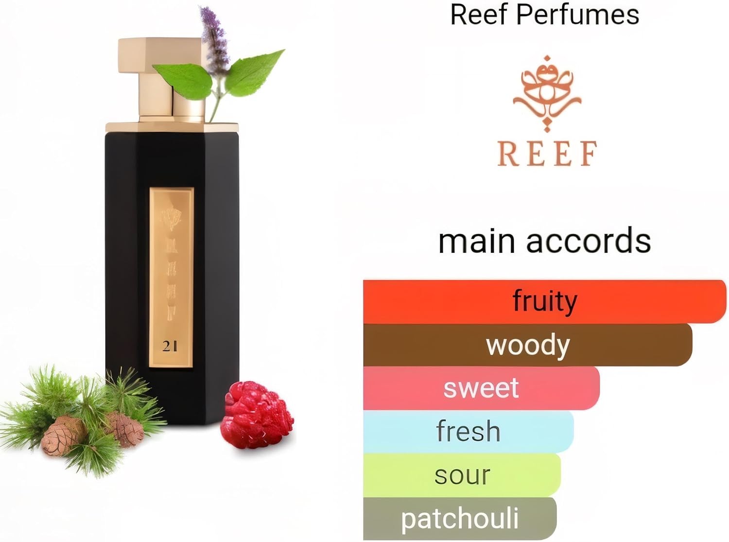 Reef 21 by Reef Perfumes EDP 100ml for Men & Women