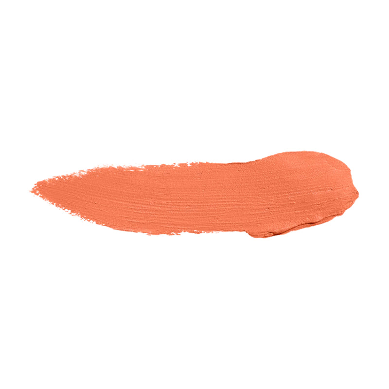 Color Institute Foundation Stick (Shade:CI-508 Color Corrector)