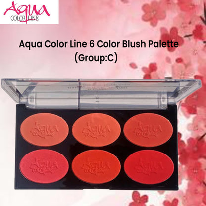 Aqua Color Line 6 Color Blush Palette (Group:C)