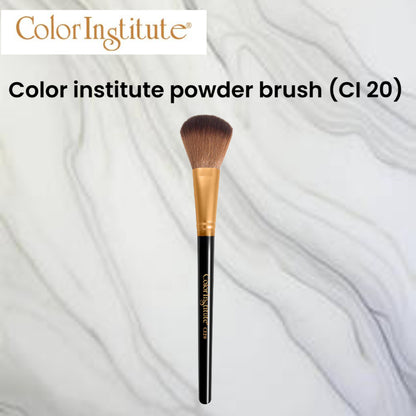 Color institute powder brush (CI 20)