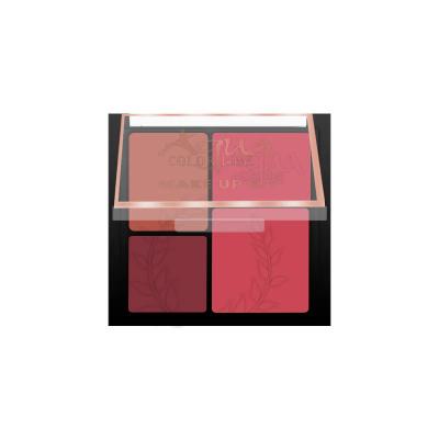 Aqua Color Line 4 Color Blusher Kit (Group:C)