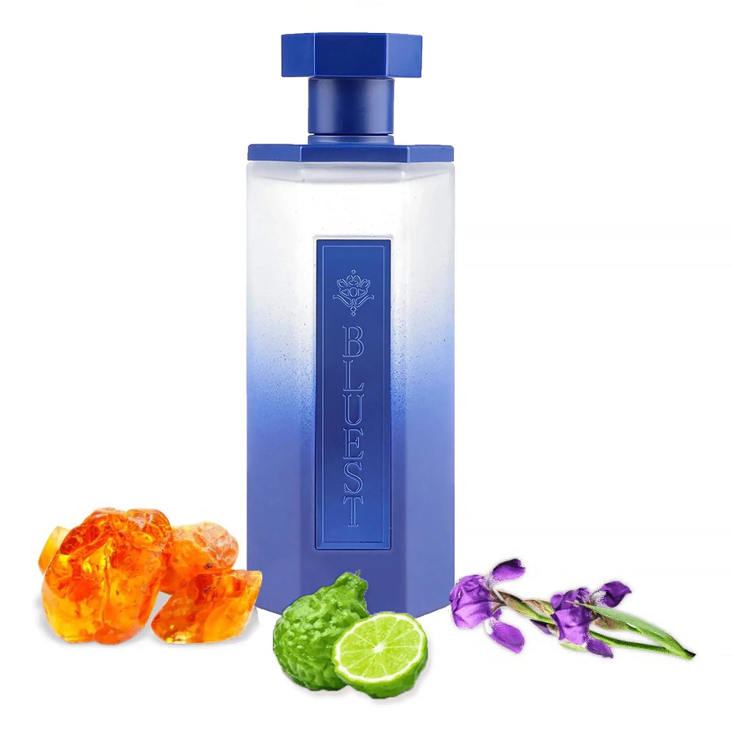 Reef Bluest By Reef Perfumes Eau De Parfum 200ml For Men