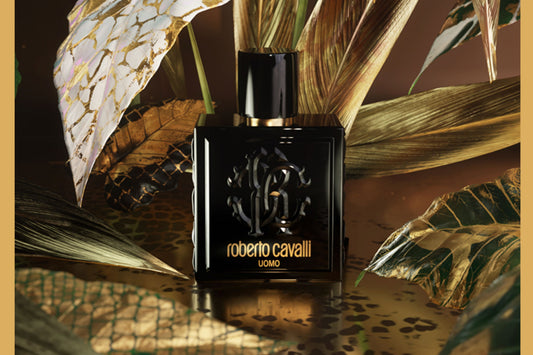 Uomo by Roberto Cavelli EDT 100ml for Men