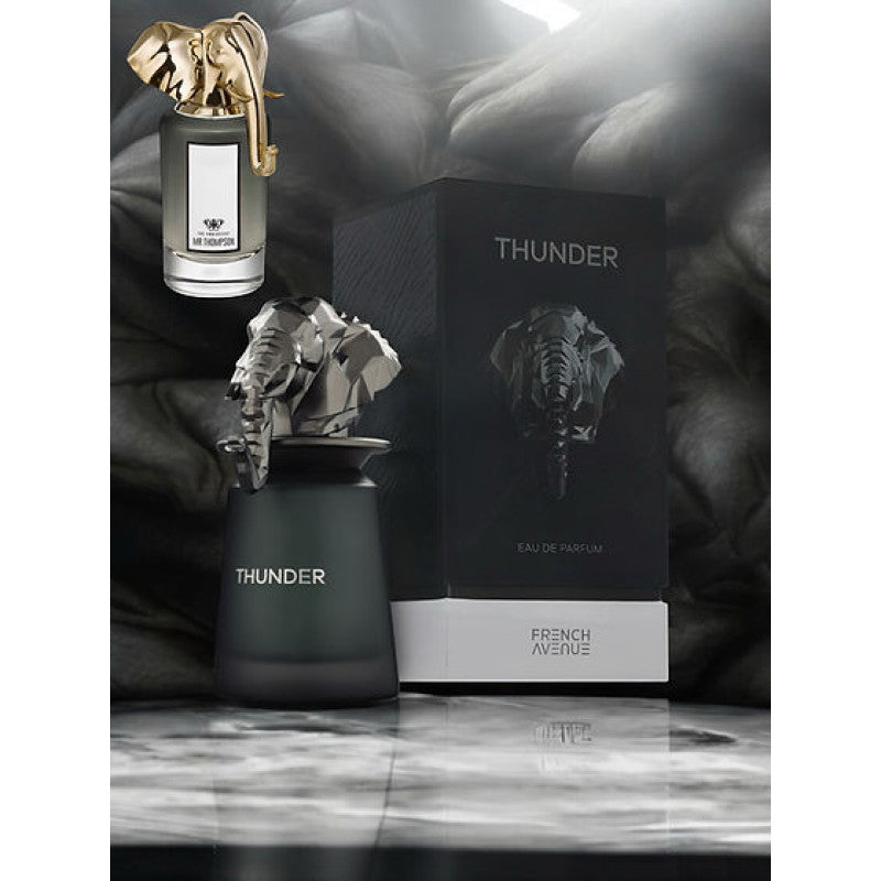 Thunder by French Avenue Eau de Parfum 100ml for Men & Women