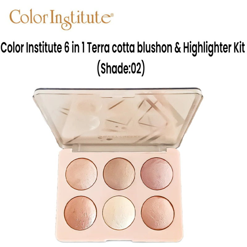 Color Institute 6 in 1 Terra cotta blushon & Highlighter Kit (Shade:02)