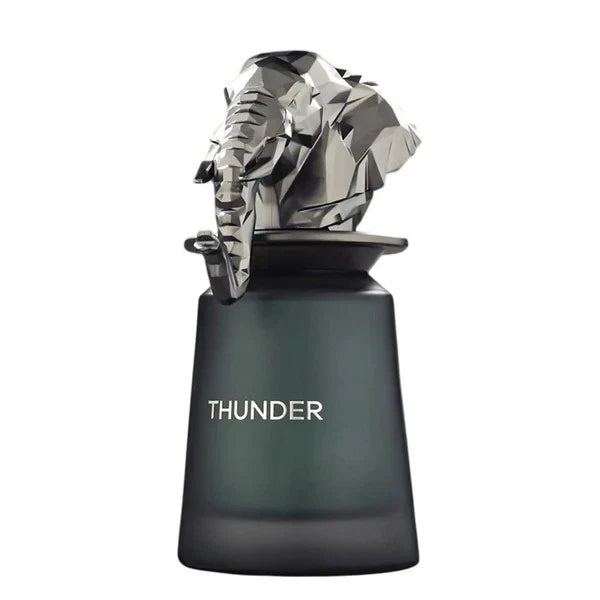 Thunder by French Avenue Eau de Parfum 100ml for Men & Women