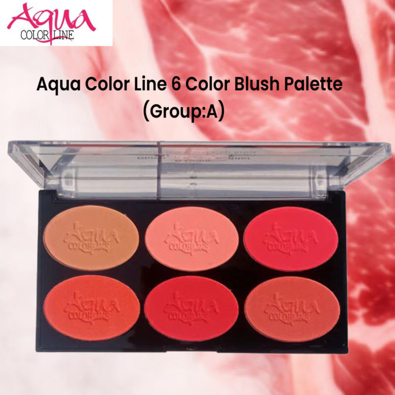 Aqua Color Line 6 Color Blush Palette (Group:A)