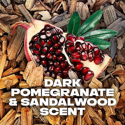 AXE Anarchy Dark Pomegranate & Sandalwood Dual Action Antiperspirant 48 Hour Stick for Long Lasting Freshness