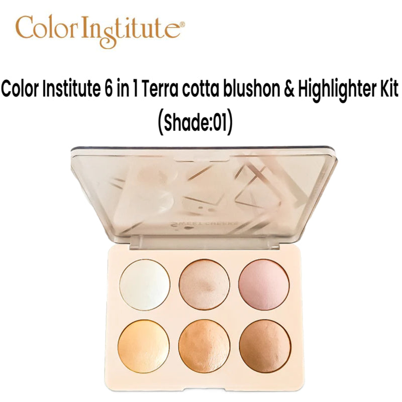 Color Institute 6 in 1 Terra cotta blushon & Highlighter Kit (Shade:01)