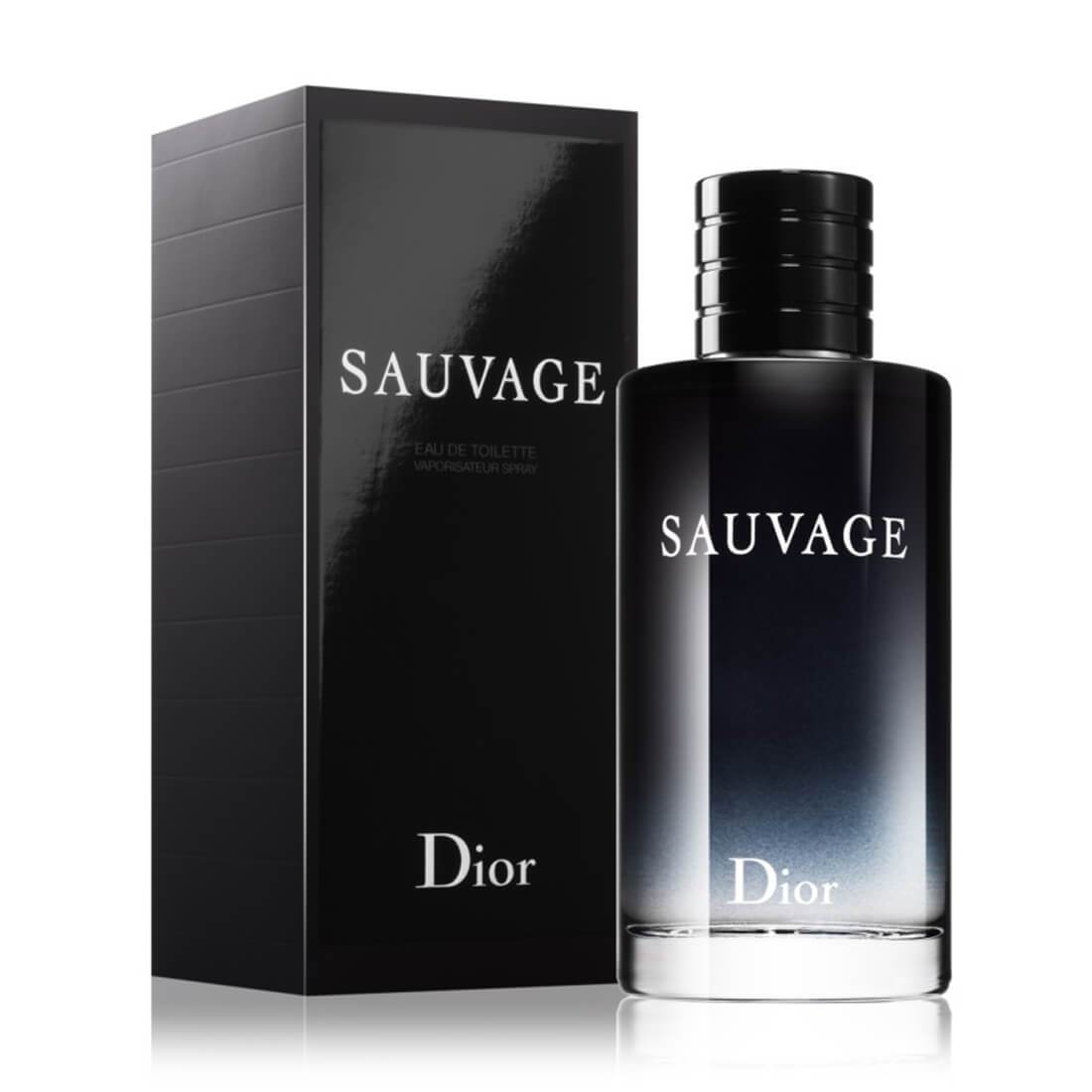 Aris Perfumes Christian Dior Sauvage for Men Edt 100ml-Perfume