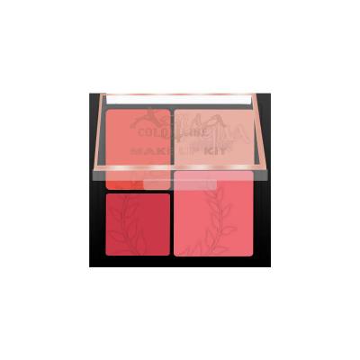 Aqua Color Line 4 Color Blusher Kit (Group:A)