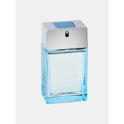 Sapil Solid Silver Eau de Toilette for Men 100ml - Long Lasting Masculine Perfume with Fresh Woody Aromatic Fragrance for Dai