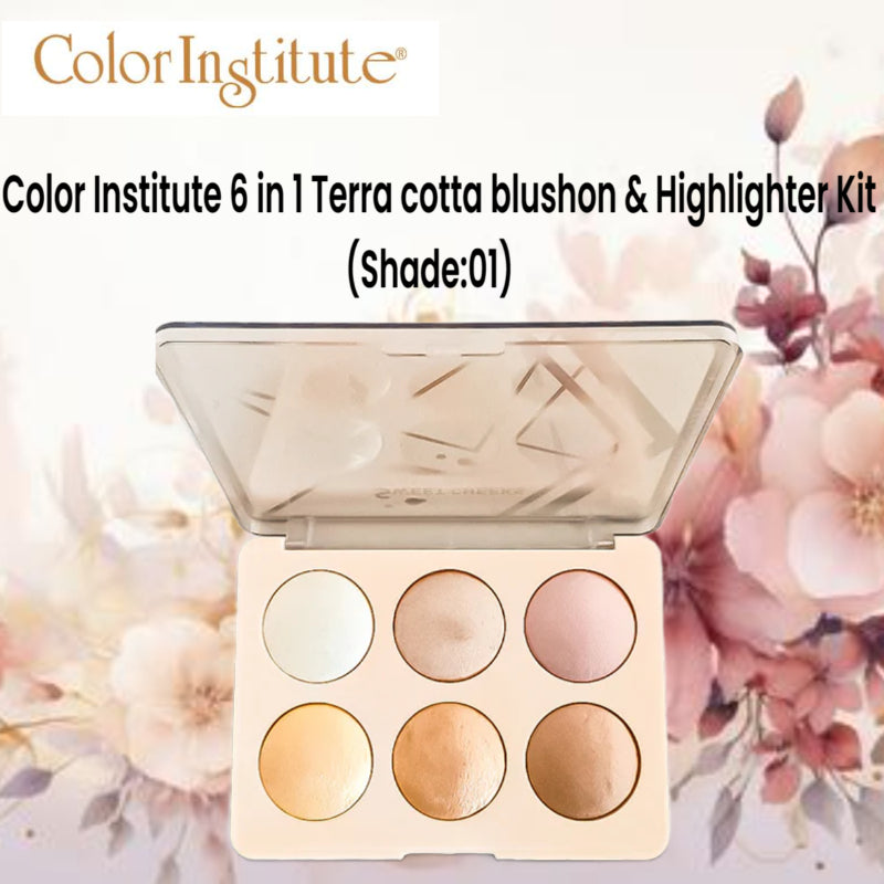 Color Institute 6 in 1 Terra cotta blushon & Highlighter Kit (Shade:01)