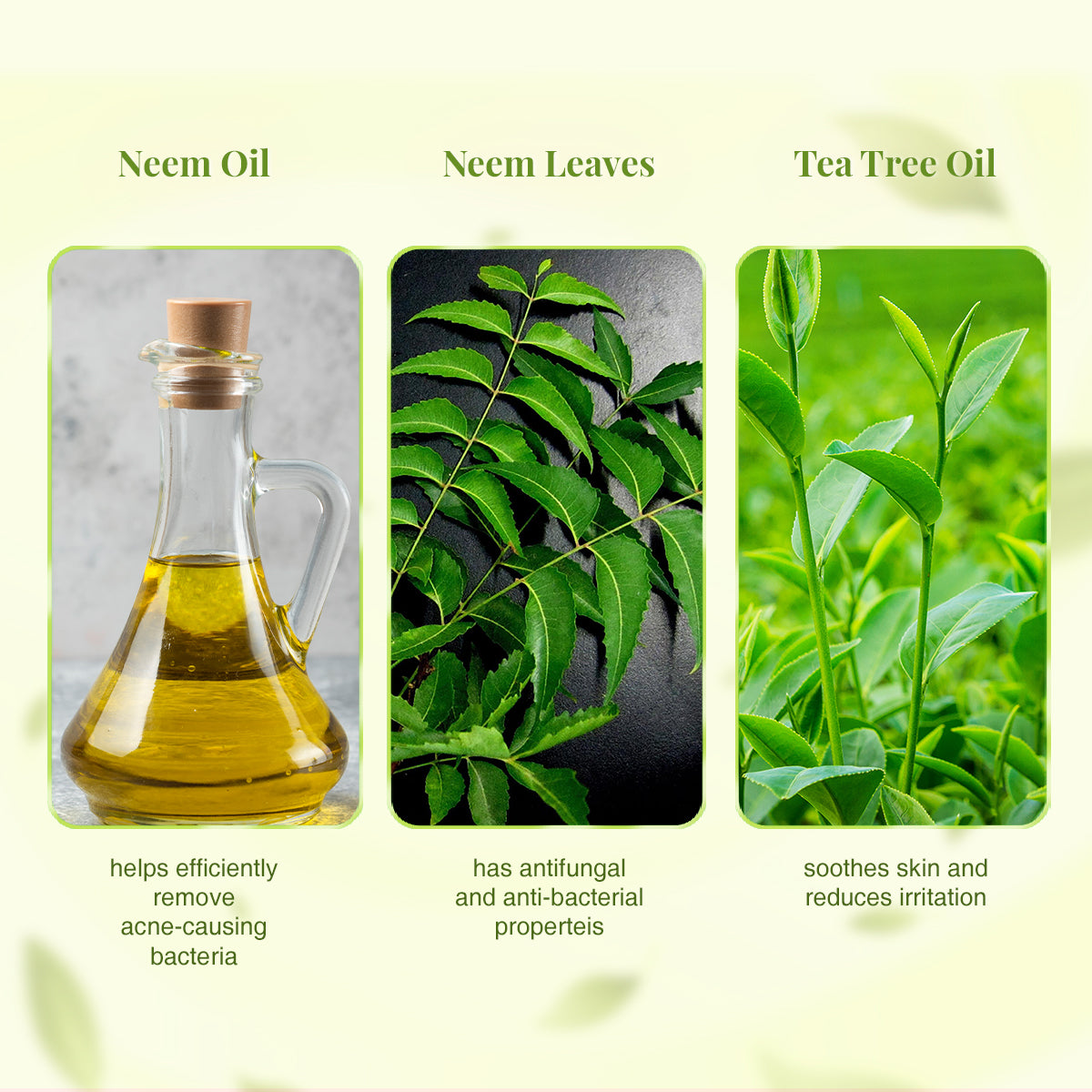 VLCC Ayurveda Skin Purifying Double Power Double Neem Face Wash 100ml