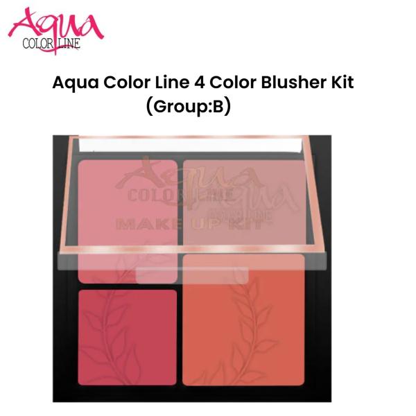 Aqua Color Line 4 Color Blusher Kit (Group:B)