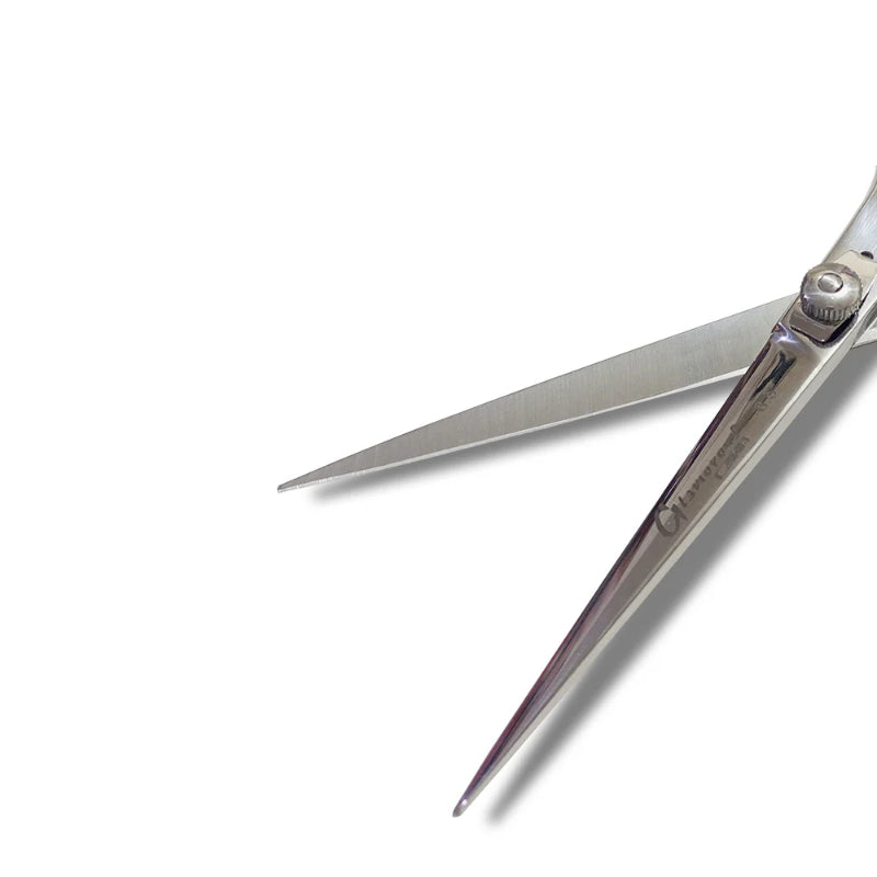 Glamorous Face Professional Hair Cutting Scissor, Hair Shears 6.5 inch Silver Color (A)