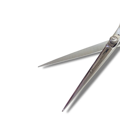 Glamorous Face Professional Hair Cutting Scissor, Hair Shears 6.5 inch Silver Color (A)