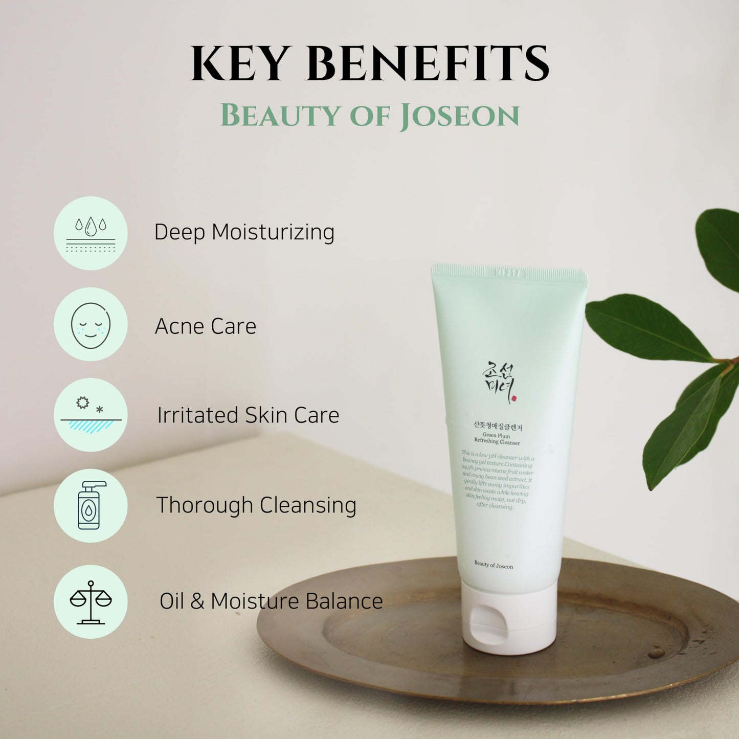 Beauty of Joseon Green Plum Refreshing Cleanser 100 ml Gentle Daily Cleansing & Skin Balance 100ml (K Beauty)
