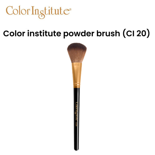 Color institute powder brush (CI 20)