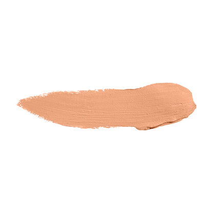 Color Institute Foundation Stick (Shade:CI-Oriental)