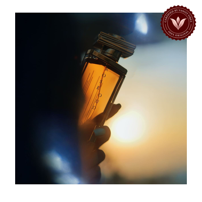 ROSE OUD by Maison Asrar 110ml EDP | Pakistan | Vanity Vibes product image 3