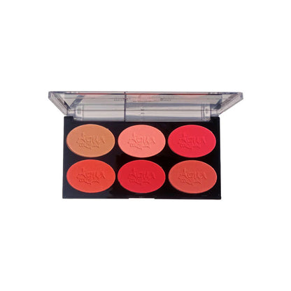Aqua Color Line 6 Color Blush Palette (Group:A)