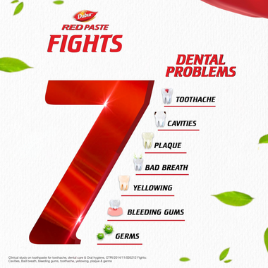 Dabur Red Ayurvedic Toothpaste 100g