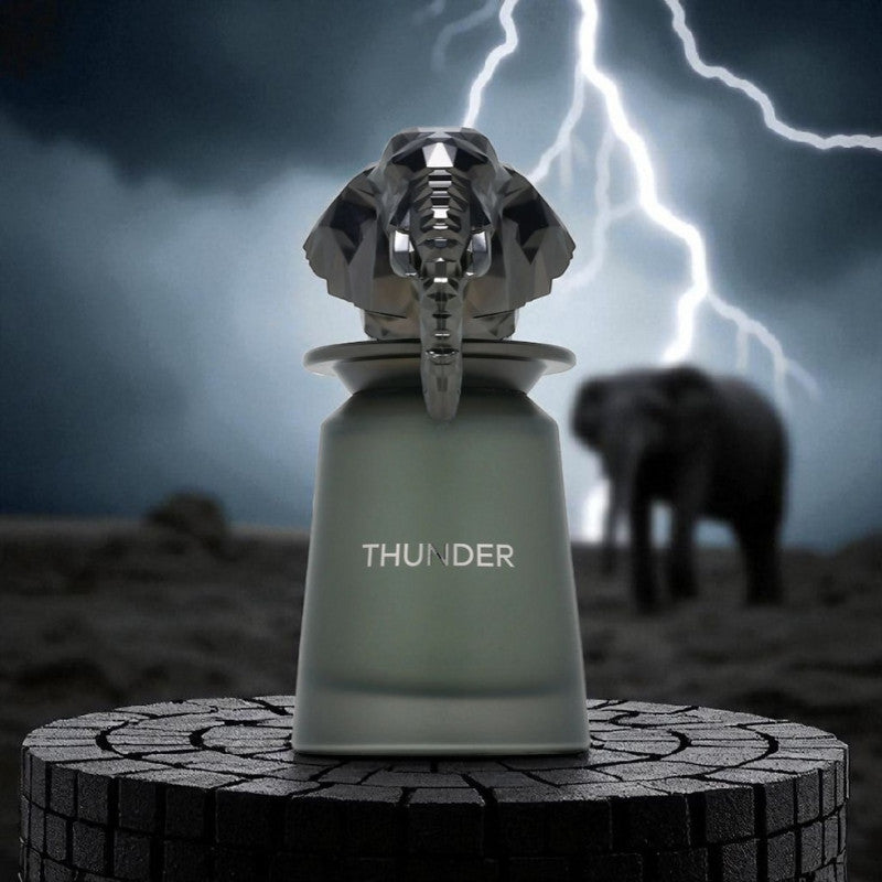 Thunder by French Avenue Eau de Parfum 100ml for Men & Women