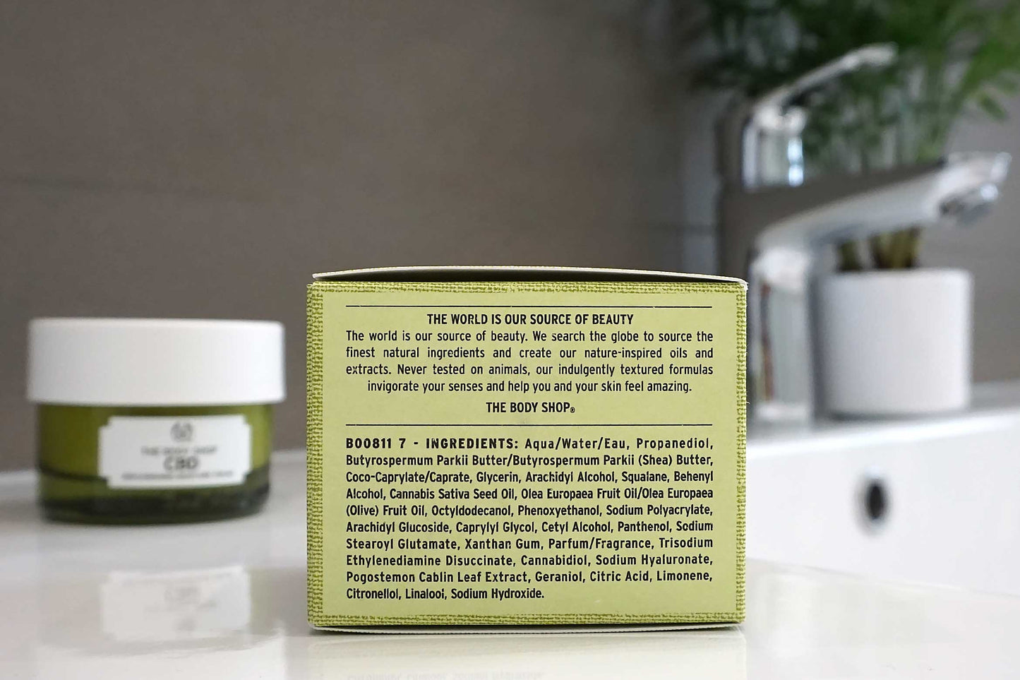 The Body Shop Replenishing Moisture Cream 50ml