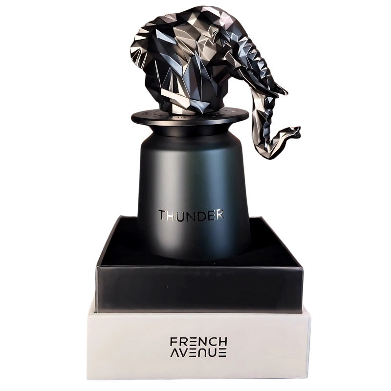 Thunder by French Avenue Eau de Parfum 100ml for Men & Women