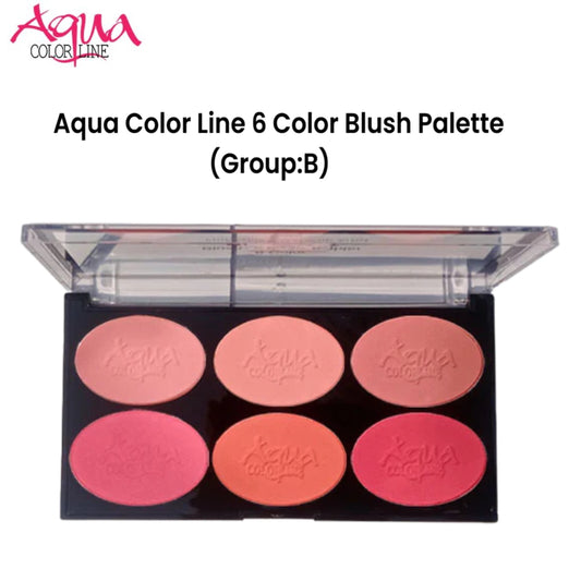 Aqua Color Line 6 Color Blush Palette (Group:B)