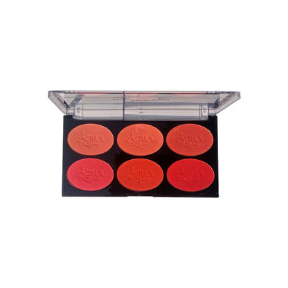 Aqua Color Line 6 Color Blush Palette (Group:C)