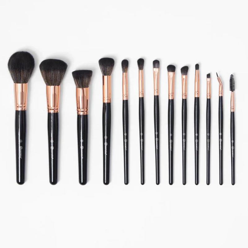BH 13 Piece Brush Set