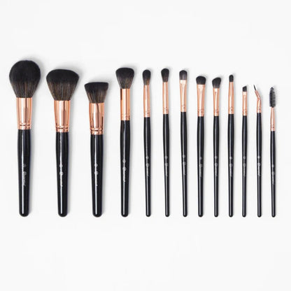 BH 13 Piece Brush Set
