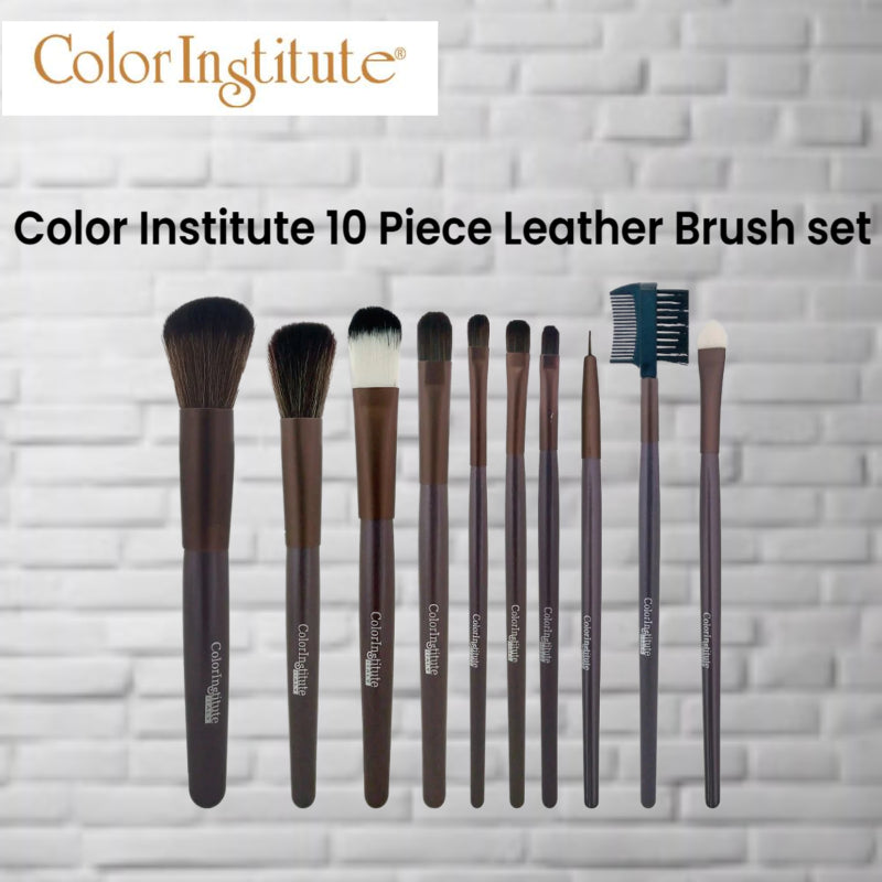 Color Institute 10 Piece Leather Brush set