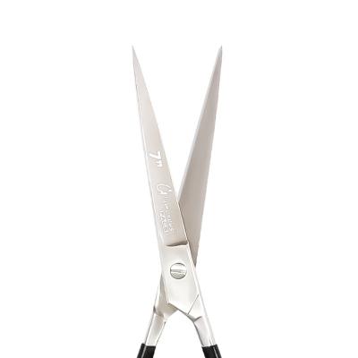 Glamorous Face Professional Hair Cutting Scissor (14)