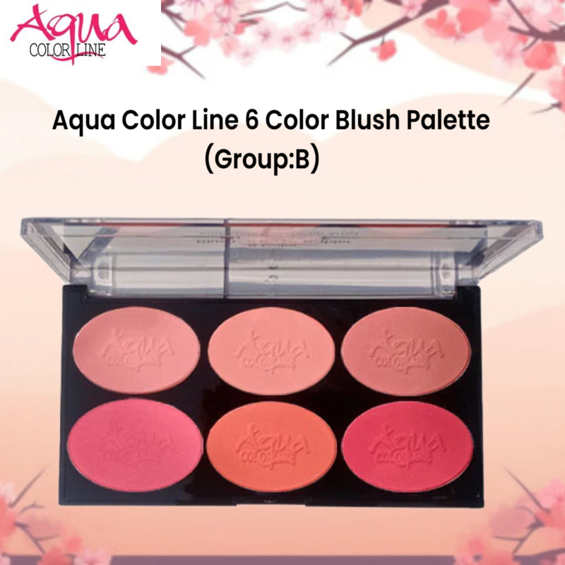 Aqua Color Line 6 Color Blush Palette (Group:B)
