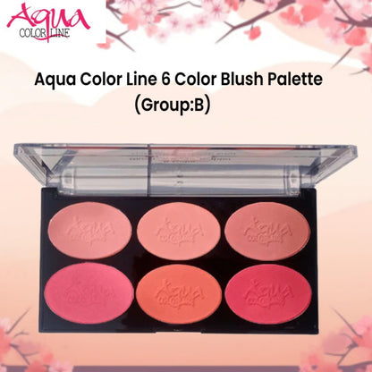 Aqua Color Line 6 Color Blush Palette (Group:B)