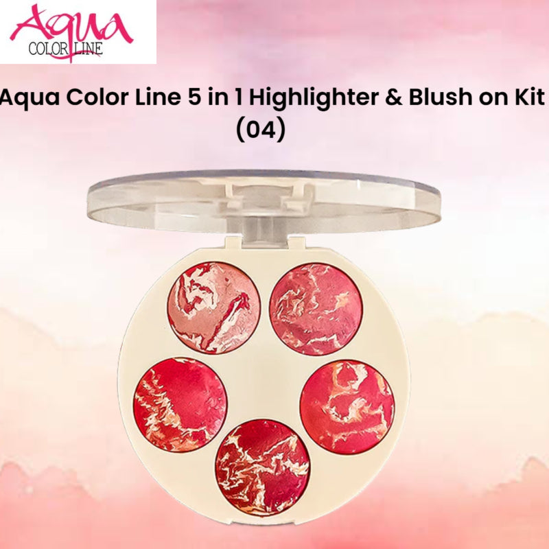 Aqua Color Line 5 in 1 Highlighter & Blush on Kit (04)
