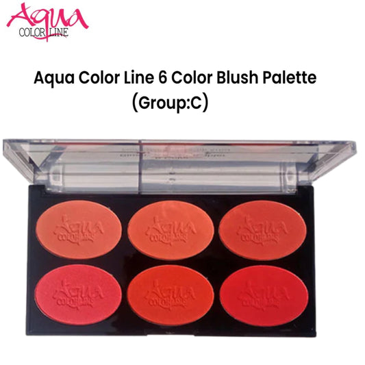 Aqua Color Line 6 Color Blush Palette (Group:C)